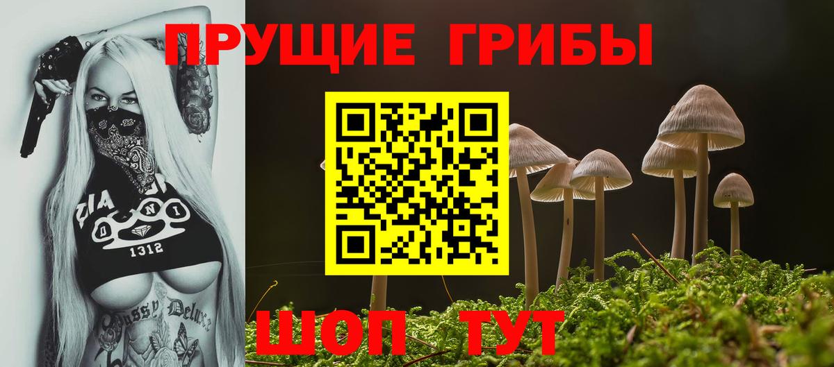 продажа наркотиков  Вход с VPN  Семёнов  Псилоцибиновые грибы Psilocybe  Псилоцибиновые грибы Cubensis 
